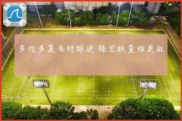 多伦多夏洛特球迷 隔空较量谁更狂