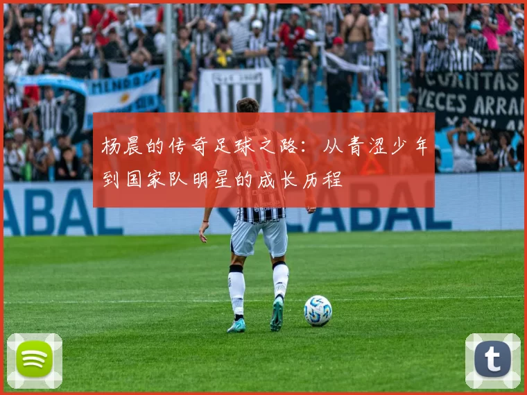 杨晨的传奇足球之路：从青涩少年到国家队明星的成长历程