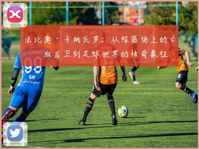 法比奥·卡纳瓦罗：从绿茵场上的铁血后卫到足球世界的传奇象征