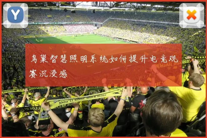 鸟巢智慧照明系统如何提升电竞观赛沉浸感