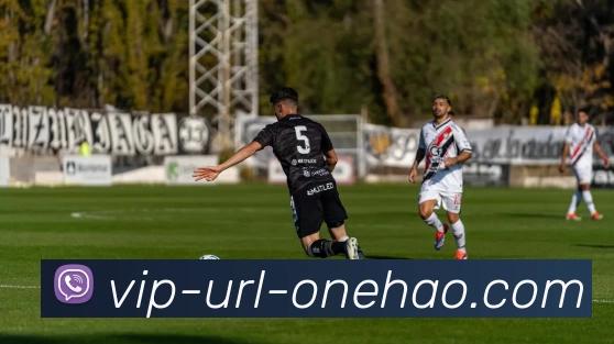 一号体育平台生态图